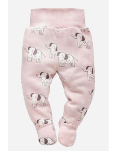 PINOKIO Półśpiochy WILD...